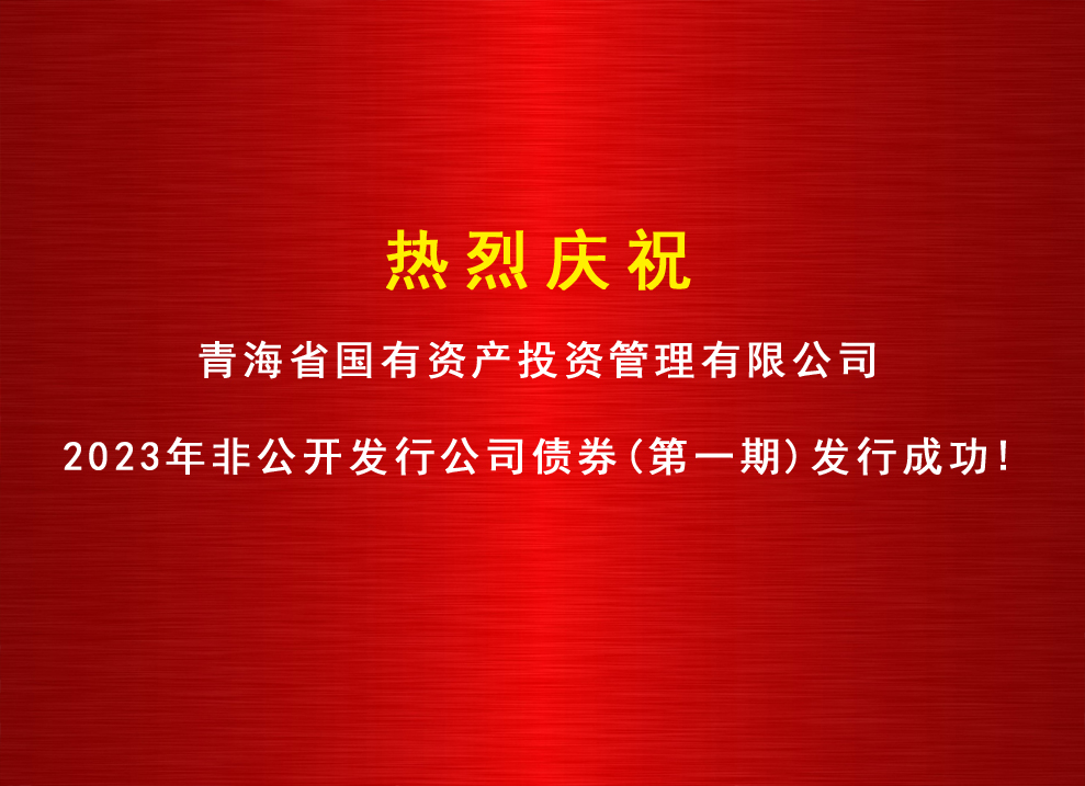 博鱼app下载(中国)有限公司官网2023年非公开发行公司债券（第一期）发行成功